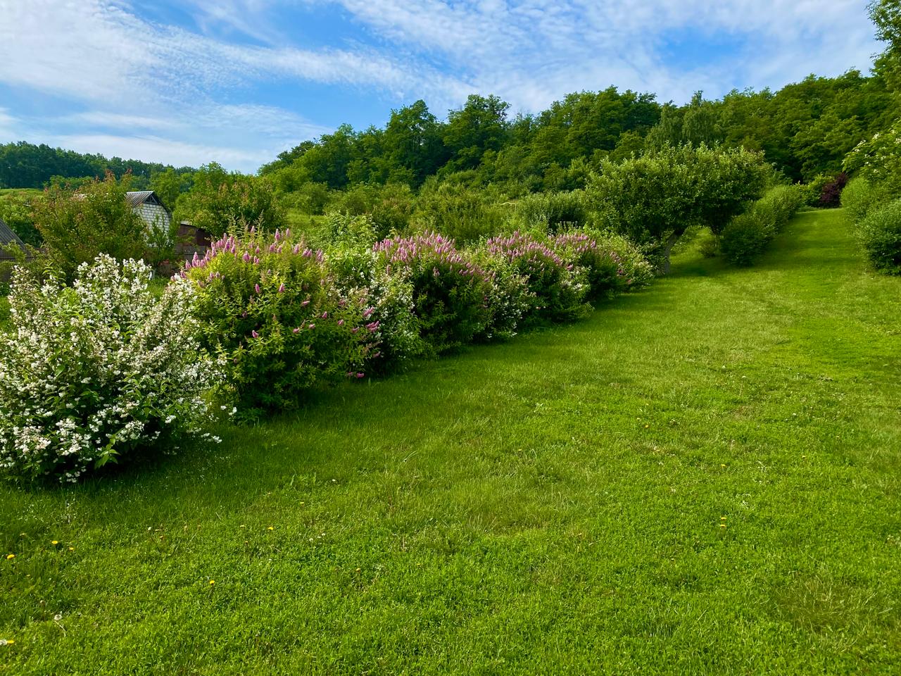 Photo of the campsite territory Peony Valley